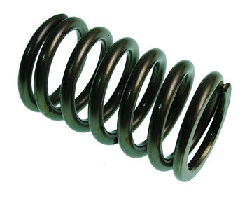 Valve Spring 4 Tec