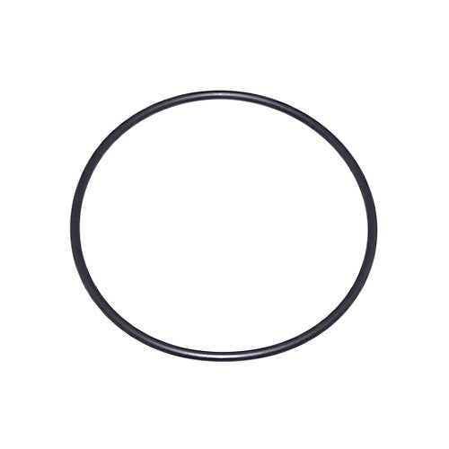 O-ring, Lower Cap / Carrier - Johnson, Evinrude V4, V6