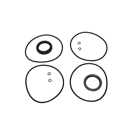 Crank Seal Kit