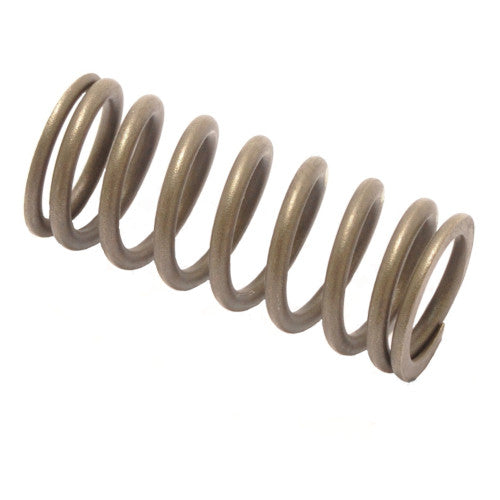 Spring, Valve - Yamaha 75-115hp 4-stroke