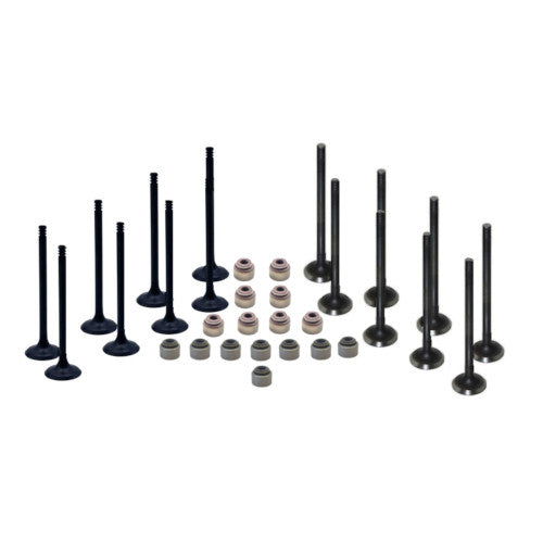 Valve Kit, Yamaha - 75-115hp 1999-2011