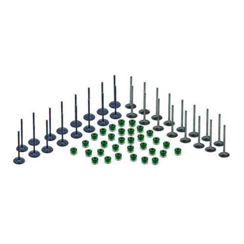 Valve Kit, Yamaha - 350hp 8 Cyl 2012-2019