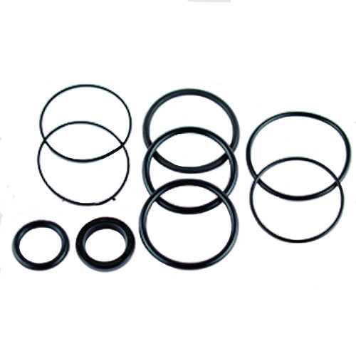 Seal Kit, Trim Cylinder - OMC