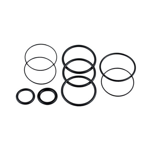 Seal Kit, Trim Cylinder - OMC