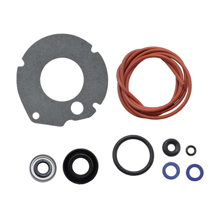 Seal Kit, Lower Unit - Johnson / Evinrude 6hp 1968-1979