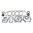Seal Kit, Lower Unit - OMC Cobra