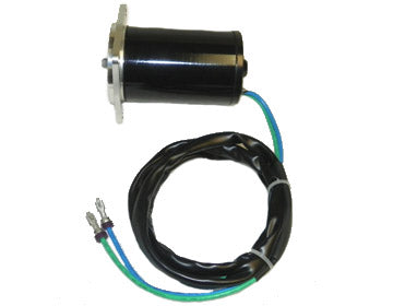 Trim Motor