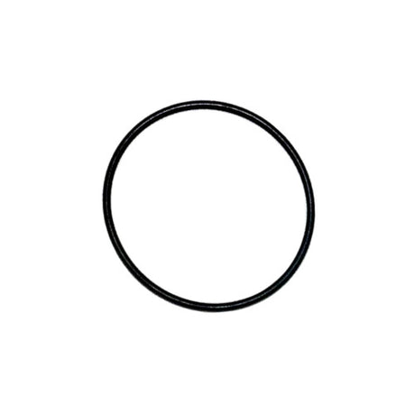 O-Ring, Nose Cone - Polaris 650 - 1200 94-04