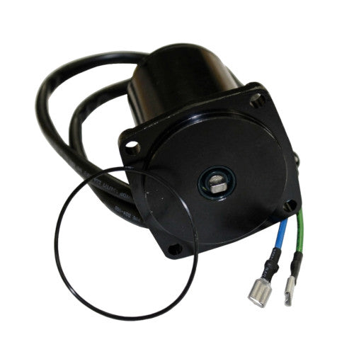 Motor, Trim / Tilt - Honda / Johnson / Evinrude / Suzuki