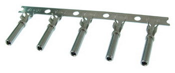 Deutsch Pins, Female