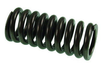 Intake Valve Spring FX140