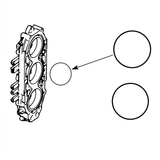 Seal, Cylinder Head O-Ring - Johnson / Evinrude 90-175hp 60-deg, FFI, 40-90hp Etec