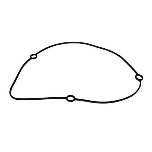 O-Ring, Generator Cover - Yamaha 800