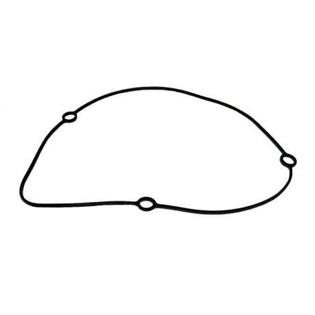 O-Ring, Generator Cover - Yamaha 800