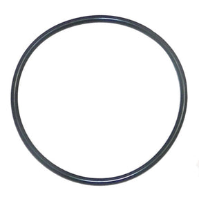 O-Ring, Throttle Plate - Yamaha 1800