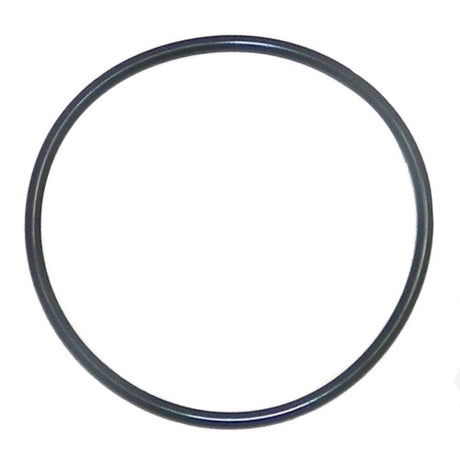 O-Ring, Throttle Plate - Yamaha 1800