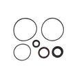 Complete Crankshaft Seal Kit V4, V6