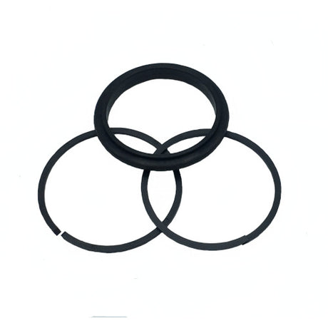 T-Ring Set - Johnson, Evinrude