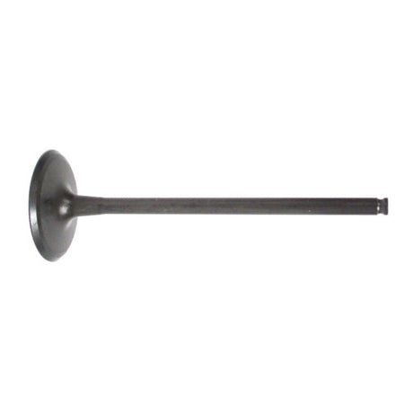 Valve, Intake - Kawasaki 1200 / 1500