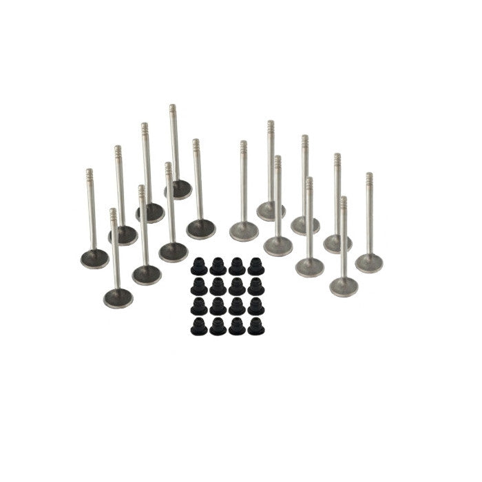 Valve Kit - Mercury 75-115hp EFI, 135-200hp Verado