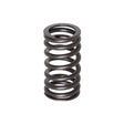 Spring, Valve - Yamaha 150-225hp 4-stroke
