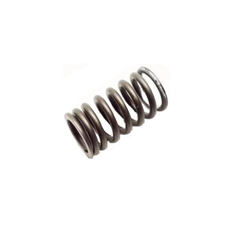 Spring, Valve - Yamaha 150-350hp 4-stroke