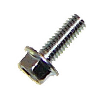 Screw