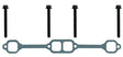 Manifold Mounting Bolt Kit V8
