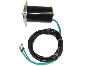 Trim Motor