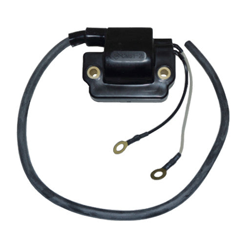 Ignition Coil 2 cyl thru V6