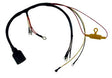 Engine Harness 50-55hp 74-77