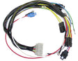 Engine Harness - 100hp 1967