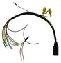 Engine Harness 30-60 HP