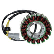 Coil, Armature / Stator - Seadoo 1503 02-06