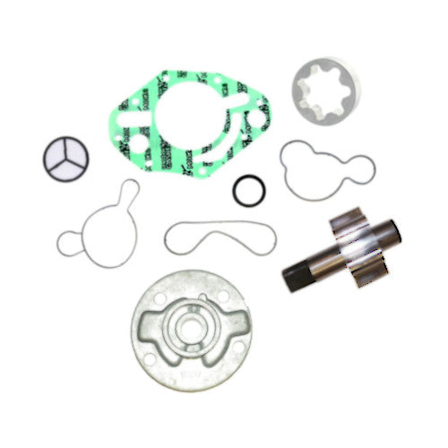 Repair Kit, Secondary Oil Pump - Seadoo 1503