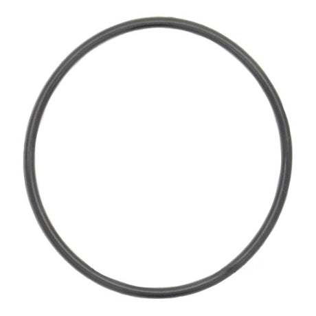 O-Ring, Oil Filter - Johnson / Evinrude / Suzuki 4-stroke