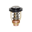 Thermostat - Yamaha 200-250hp 4-stroke