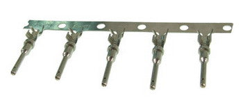 Deutsch Pins, Male