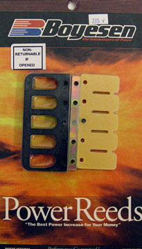 MAPPON REED まりりん Fall Maples RAINBOW Variegated 8/2 Ringspun Cotton Yarn